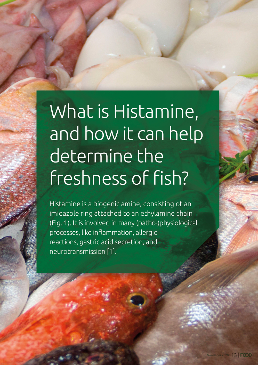 what-is-histamine-and-how-it-can-help-determine-the-freshness-of-fish