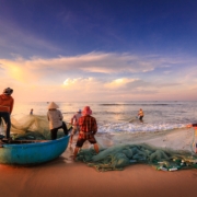 sustainable fishers and a living wage for fishers