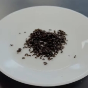 edible ants