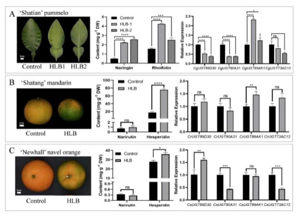 Changes in phenotype