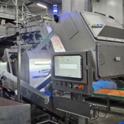 Key Technology COMPASS optical sorter