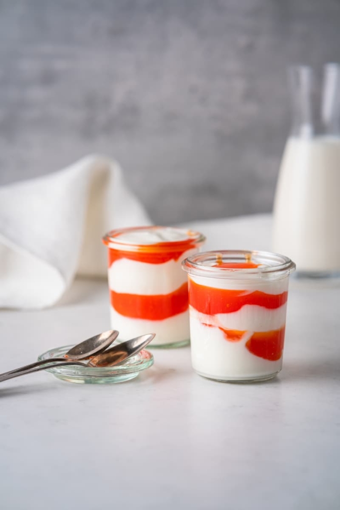 EXBERRY Shade Vivid Orange fruit prep with yogurt