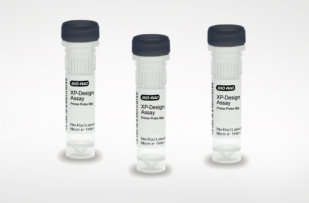 Bio-Rad launches rapid Salmonella serotyping solution for food safety ...