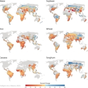 End-of-century global damage function describing calories (kcal) lost as a function of global mean surface temperature changes (ΔGMST), including gains from CO2 fertilization. Grey bands indicate 10th–90th and 25th–75th quantile ranges bands. Simplified version of Figure 3D from the main article.