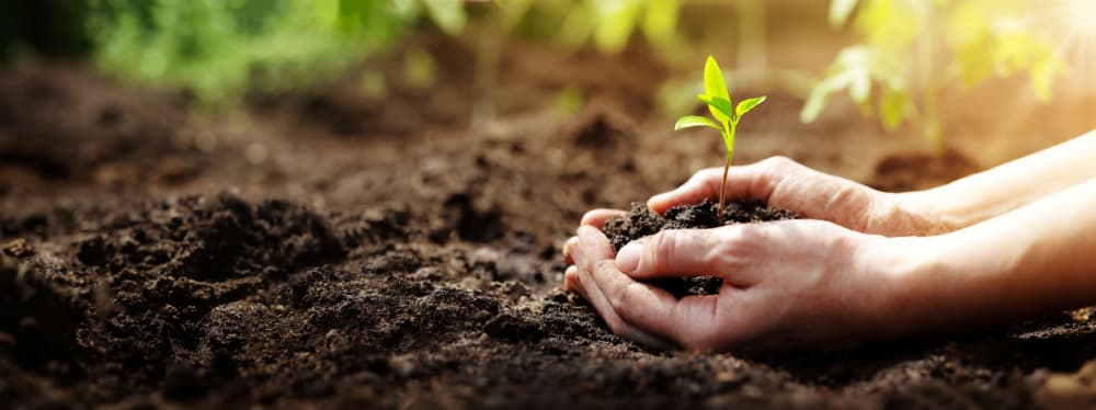Euromed achieves EcoVadis Platinum Medal for exceptional ESG performance in botanical ingredients production