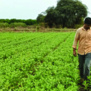 Gonmisol has entered an exclusive partnership with Mumbai’s K. Patel Phyto Extractions