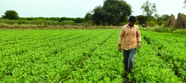 Gonmisol has entered an exclusive partnership with Mumbai’s K. Patel Phyto Extractions