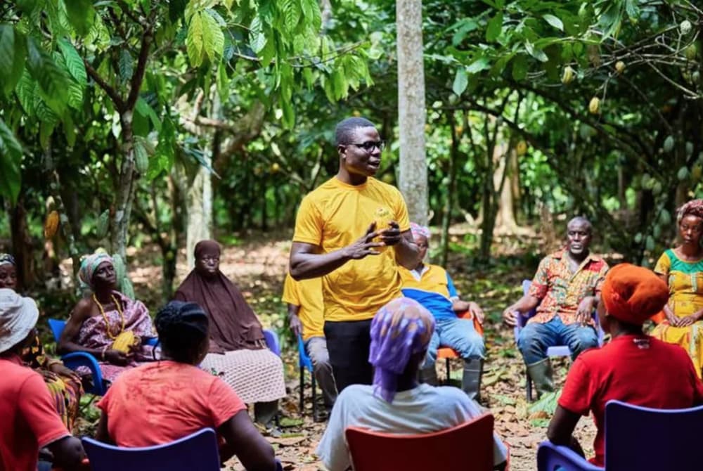 ofi cocoa farmers