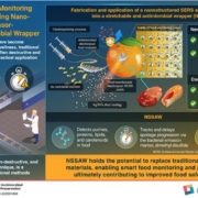 Researchers propose a novel nanostructured SERS sensor integrated into a stretchable and antimicrobial wrapper for food quality monitoring and preservation.