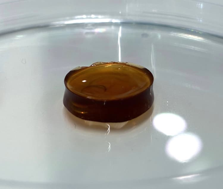 The study marks the first time wheat gluten protein – rather than animal-based protein – has been successfully incorporated into bran-based hydrogels (pictured).