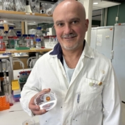 "This could add new value to agricultural side streams that are already produced in huge amounts but not used in human food,” says Francisco Vilaplana, pictured in his lab.