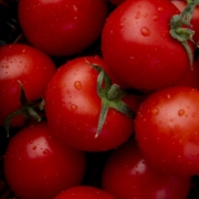 Researchers combine cold plasma and chiral TiO₂ composite coating to extend cherry tomato shelf life