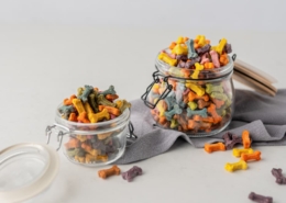 EXBERRY plant-based pet food colour ingredients