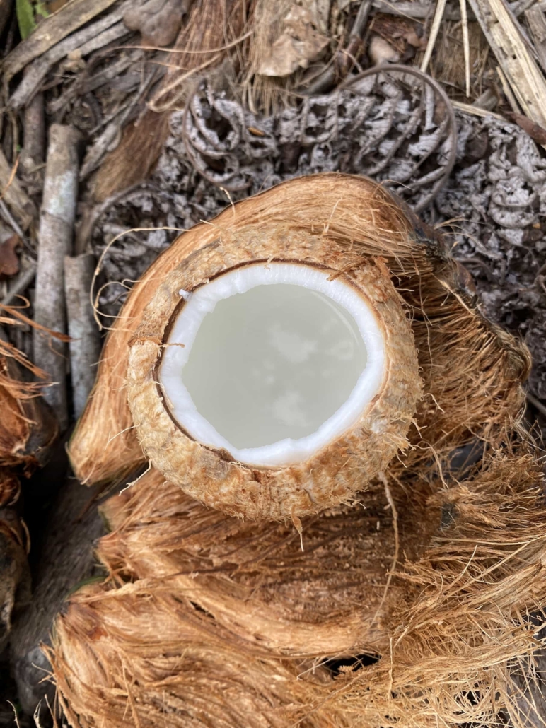 nutriswiss