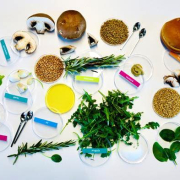 Generative AI food design