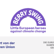Berry Swing survey finds 90% of consumers link EU berries to quality and safety