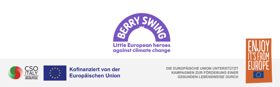 Berry Swing survey finds 90% of consumers link EU berries to quality and safety