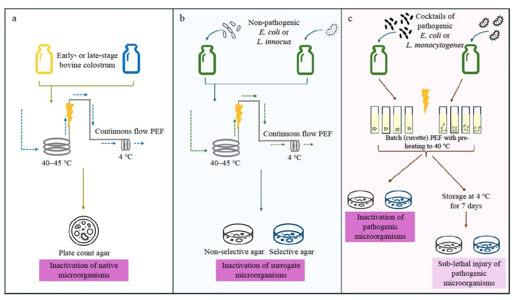 Overview of the three experimental trials conducted in this study.