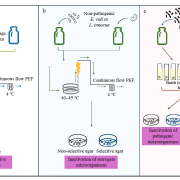 Overview of the three experimental trials conducted in this study.